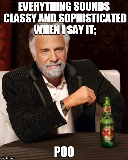 The Most Interesting Man In The World | EVERYTHING SOUNDS CLASSY AND SOPHISTICATED WHEN I SAY IT;; POO | image tagged in memes,the most interesting man in the world | made w/ Imgflip meme maker