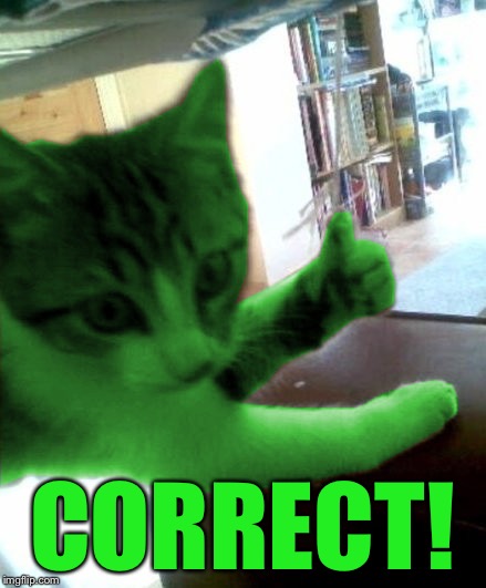 thumbs up RayCat | CORRECT! | image tagged in thumbs up raycat | made w/ Imgflip meme maker