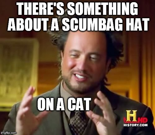 Ancient Aliens Meme | THERE'S SOMETHING ABOUT A SCUMBAG HAT ON A CAT | image tagged in memes,ancient aliens | made w/ Imgflip meme maker