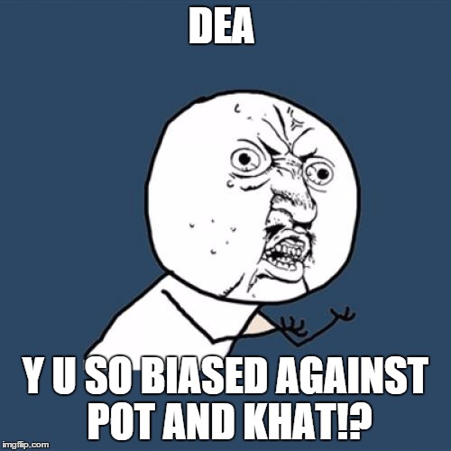 Y U No | DEA; Y U SO BIASED AGAINST POT AND KHAT!? | image tagged in memes,y u no | made w/ Imgflip meme maker