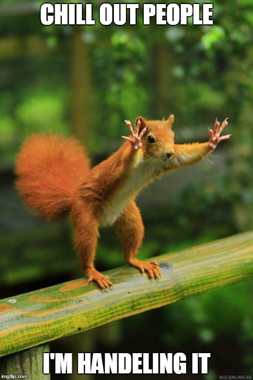 Wait a Minute Squirrel | CHILL OUT PEOPLE; I'M HANDELING IT | image tagged in wait a minute squirrel | made w/ Imgflip meme maker