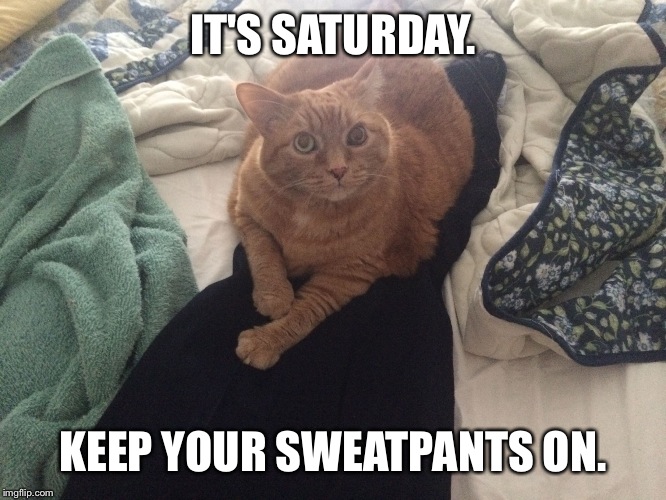 Caturday Plans | IT'S SATURDAY. KEEP YOUR SWEATPANTS ON. | image tagged in funny cats,funny cat memes,cats,cat | made w/ Imgflip meme maker