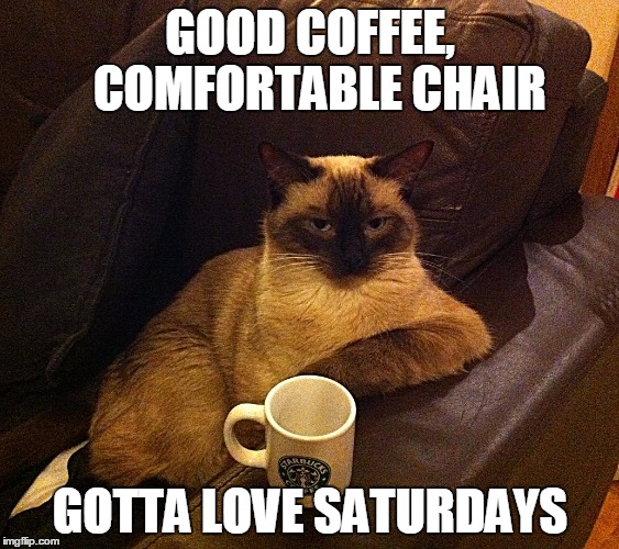 CoffeeCat | GOOD COFFEE, 
COMFORTABLE CHAIR; GOTTA LOVE SATURDAYS | image tagged in coffeecat | made w/ Imgflip meme maker