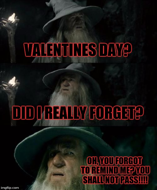 Confused Gandalf Meme | VALENTINES DAY? DID I REALLY FORGET? OH, YOU FORGOT TO REMIND ME? YOU SHALL NOT PASS!!!! | image tagged in memes,confused gandalf | made w/ Imgflip meme maker