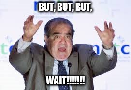 scalia | BUT, BUT, BUT, WAIT!!!!!!! | image tagged in oh hell no | made w/ Imgflip meme maker