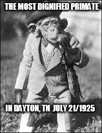 Evolution vs creationism | THE MOST DIGNIFIED PRIMATE; IN DAYTON, TN 
JULY 21/1925 | image tagged in evolution creationist scopes monkey primate atheist | made w/ Imgflip meme maker