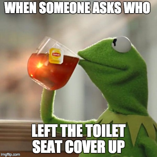 But That's None Of My Business | WHEN SOMEONE ASKS WHO; LEFT THE TOILET SEAT COVER UP | image tagged in memes,but thats none of my business,kermit the frog | made w/ Imgflip meme maker