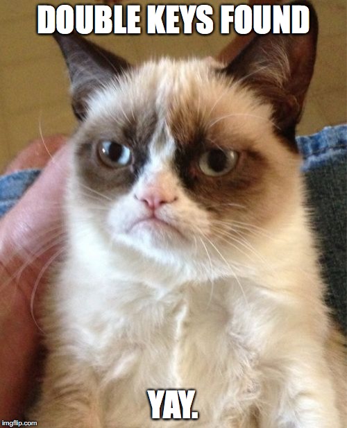 Grumpy Cat Meme | DOUBLE KEYS FOUND; YAY. | image tagged in memes,grumpy cat | made w/ Imgflip meme maker