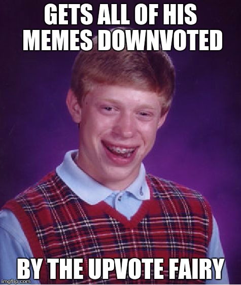 Bad Luck Brian | GETS ALL OF HIS MEMES DOWNVOTED; BY THE UPVOTE FAIRY | image tagged in memes,bad luck brian | made w/ Imgflip meme maker