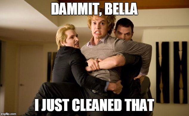 Damn You, Bella | DAMMIT, BELLA; I JUST CLEANED THAT | image tagged in dammit bella,new moon,jasper,bella | made w/ Imgflip meme maker