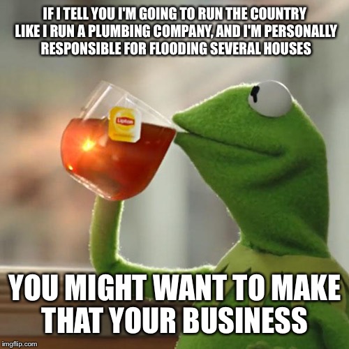But That's None Of My Business Meme | IF I TELL YOU I'M GOING TO RUN THE COUNTRY LIKE I RUN A PLUMBING COMPANY, AND I'M PERSONALLY RESPONSIBLE FOR FLOODING SEVERAL HOUSES YOU MIG | image tagged in memes,but thats none of my business,kermit the frog | made w/ Imgflip meme maker