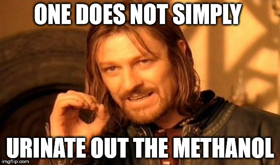 One Does Not Simply Meme | ONE DOES NOT SIMPLY; URINATE OUT THE METHANOL | image tagged in memes,one does not simply | made w/ Imgflip meme maker