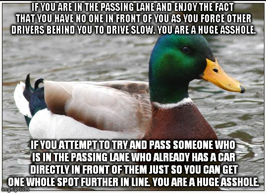 Actual Advice Mallard Meme | IF YOU ARE IN THE PASSING LANE AND ENJOY THE FACT THAT YOU HAVE NO ONE IN FRONT OF YOU AS YOU FORCE OTHER DRIVERS BEHIND YOU TO DRIVE SLOW. YOU ARE A HUGE ASSHOLE. IF YOU ATTEMPT TO TRY AND PASS SOMEONE WHO IS IN THE PASSING LANE WHO ALREADY HAS A CAR DIRECTLY IN FRONT OF THEM JUST SO YOU CAN GET ONE WHOLE SPOT FURTHER IN LINE. YOU ARE A HUGE ASSHOLE. | image tagged in memes,actual advice mallard | made w/ Imgflip meme maker