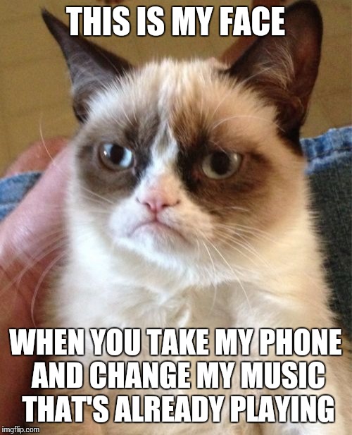 Grumpy Cat Meme |  THIS IS MY FACE; WHEN YOU TAKE MY PHONE AND CHANGE MY MUSIC THAT'S ALREADY PLAYING | image tagged in memes,grumpy cat | made w/ Imgflip meme maker