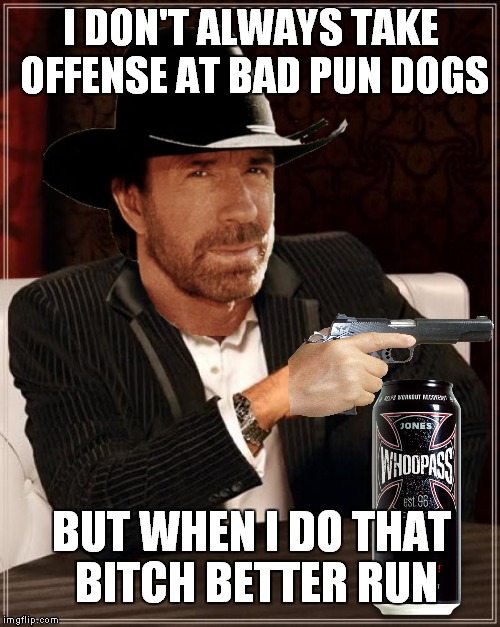 I DON'T ALWAYS TAKE OFFENSE AT BAD PUN DOGS BUT WHEN I DO THAT B**CH BETTER RUN | made w/ Imgflip meme maker