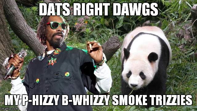 DATS RIGHT DAWGS MY P-HIZZY B-WHIZZY SMOKE TRIZZIES | made w/ Imgflip meme maker