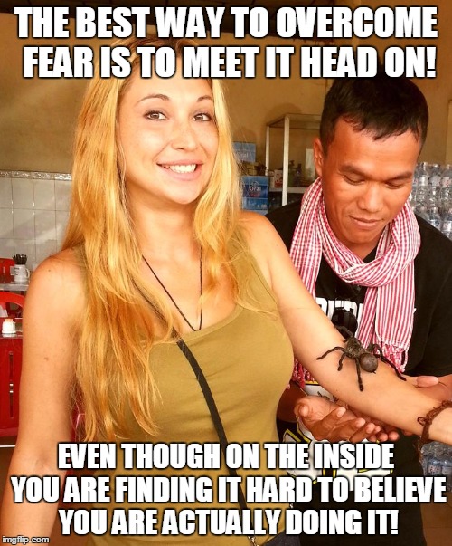 THE BEST WAY TO OVERCOME FEAR IS TO MEET IT HEAD ON! EVEN THOUGH ON THE INSIDE YOU ARE FINDING IT HARD TO BELIEVE YOU ARE ACTUALLY DOING IT! | image tagged in overcoming fear | made w/ Imgflip meme maker