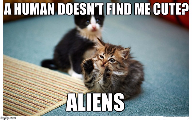 Cutest Cat | A HUMAN DOESN'T FIND ME CUTE? ALIENS | image tagged in memes,cutest cat,ancient aliens | made w/ Imgflip meme maker