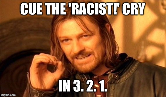 One Does Not Simply Meme | CUE THE 'RACIST!' CRY IN 3. 2. 1. | image tagged in memes,one does not simply | made w/ Imgflip meme maker
