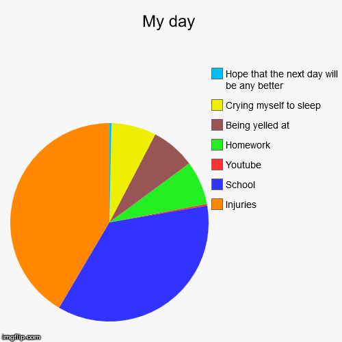 image tagged in funny,pie charts | made w/ Imgflip chart maker