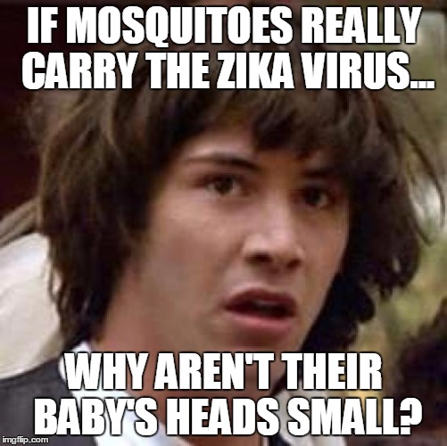 Conspiracy Keanu Meme | IF MOSQUITOES REALLY CARRY THE ZIKA VIRUS... WHY AREN'T THEIR BABY'S HEADS SMALL? | image tagged in memes,conspiracy keanu | made w/ Imgflip meme maker
