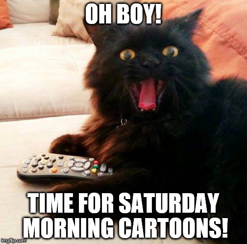 OH BOY! Cat |  OH BOY! TIME FOR SATURDAY MORNING CARTOONS! | image tagged in oh boy cat,saturday,morning,tv,cartoons,memes | made w/ Imgflip meme maker