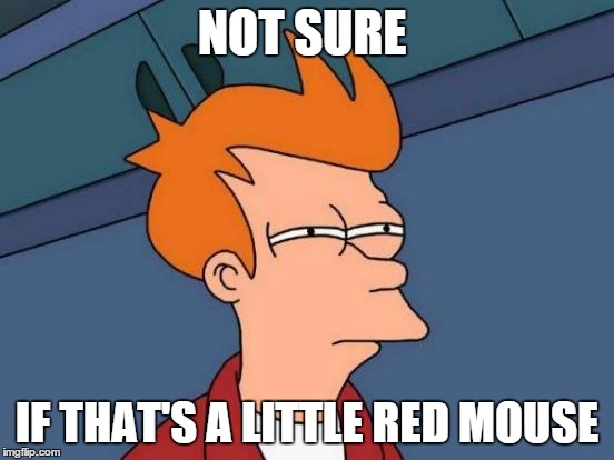 Futurama Fry Meme | NOT SURE IF THAT'S A LITTLE RED MOUSE | image tagged in memes,futurama fry | made w/ Imgflip meme maker