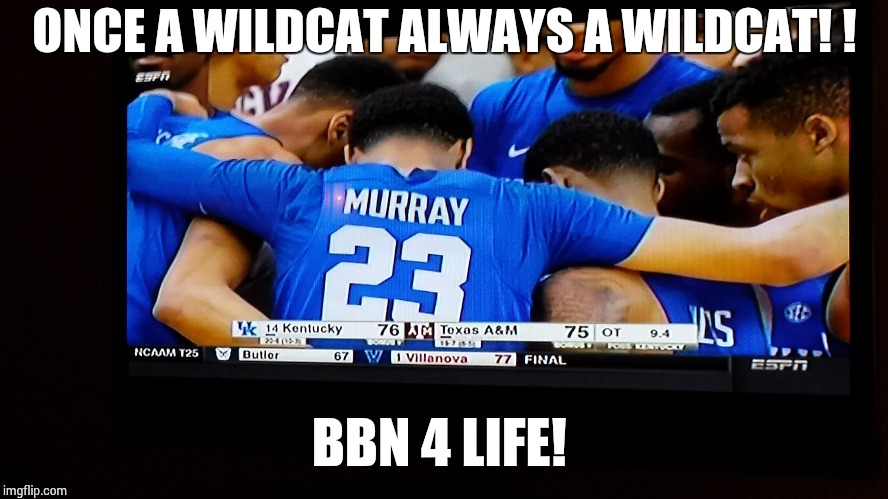 Kentucky Wildcats | ONCE A WILDCAT ALWAYS A WILDCAT! ! BBN 4 LIFE! | image tagged in basketball | made w/ Imgflip meme maker