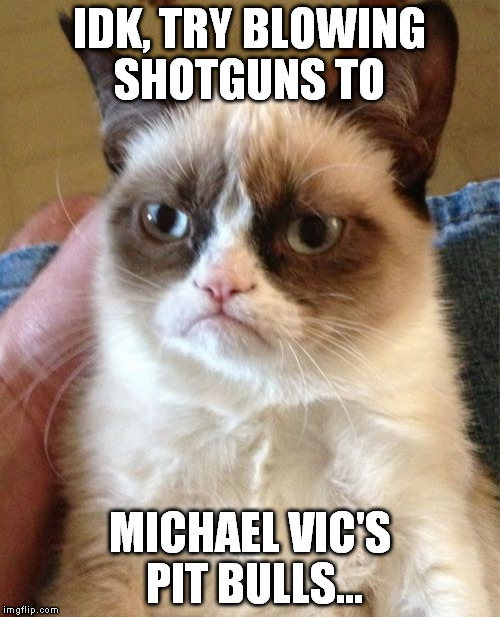 Grumpy Cat Meme | IDK, TRY BLOWING SHOTGUNS TO MICHAEL VIC'S PIT BULLS... | image tagged in memes,grumpy cat | made w/ Imgflip meme maker