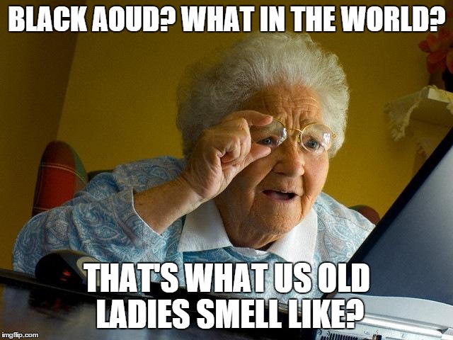 Grandma Finds The Internet Meme | BLACK AOUD? WHAT IN THE WORLD? THAT'S WHAT US OLD LADIES SMELL LIKE? | image tagged in memes,grandma finds the internet | made w/ Imgflip meme maker