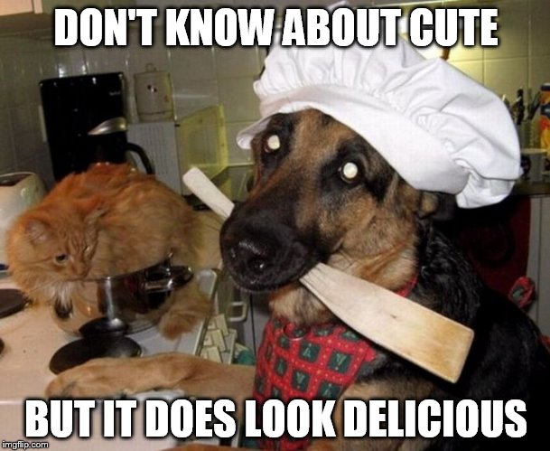 DON'T KNOW ABOUT CUTE BUT IT DOES LOOK DELICIOUS | made w/ Imgflip meme maker