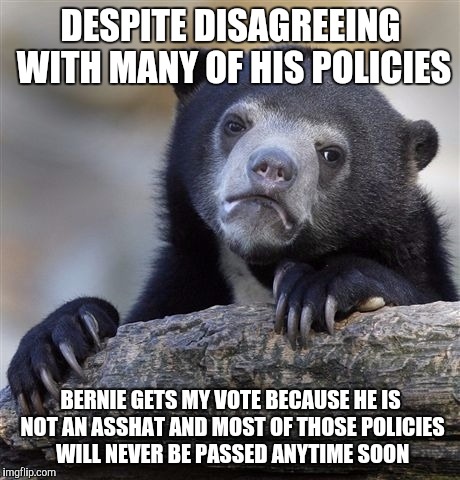 Confession Bear | DESPITE DISAGREEING WITH MANY OF HIS POLICIES; BERNIE GETS MY VOTE BECAUSE HE IS NOT AN ASSHAT AND MOST OF THOSE POLICIES WILL NEVER BE PASSED ANYTIME SOON | image tagged in memes,confession bear | made w/ Imgflip meme maker