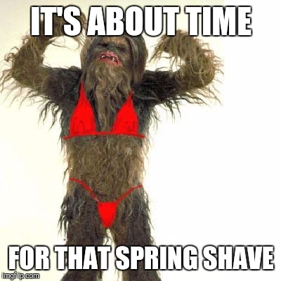 Wookies | IT'S ABOUT TIME; FOR THAT SPRING SHAVE | image tagged in sexy wookie,star wars,the force awakens sucked,chewbacca | made w/ Imgflip meme maker
