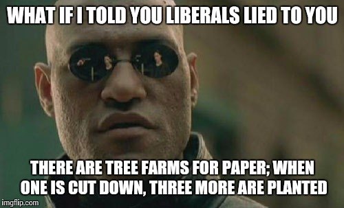 Matrix Morpheus Meme | WHAT IF I TOLD YOU LIBERALS LIED TO YOU THERE ARE TREE FARMS FOR PAPER; WHEN ONE IS CUT DOWN, THREE MORE ARE PLANTED | image tagged in memes,matrix morpheus | made w/ Imgflip meme maker
