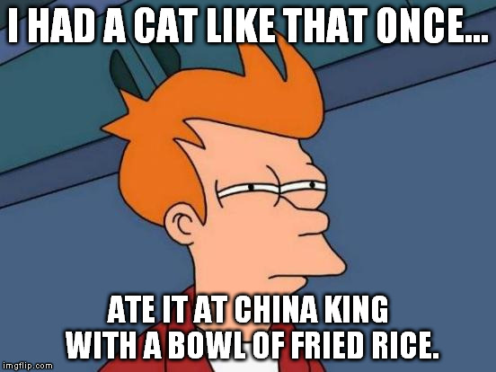Futurama Fry Meme | I HAD A CAT LIKE THAT ONCE... ATE IT AT CHINA KING WITH A BOWL OF FRIED RICE. | image tagged in memes,futurama fry | made w/ Imgflip meme maker