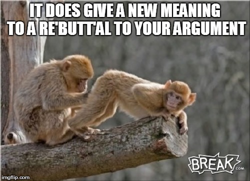 IT DOES GIVE A NEW MEANING TO A RE'BUTT'AL TO YOUR ARGUMENT | made w/ Imgflip meme maker