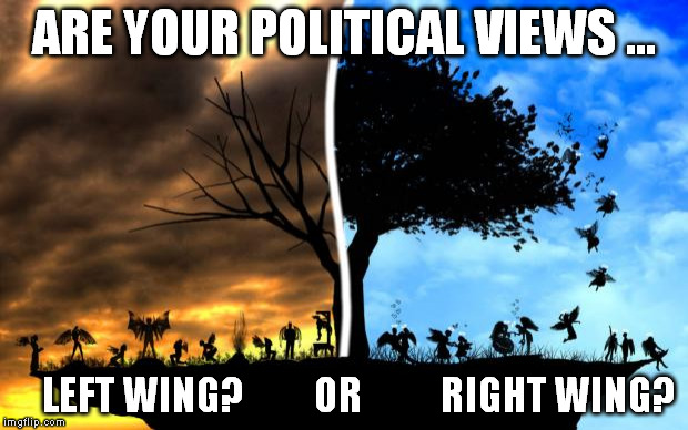 Left wing,... or right wing?  | ARE YOUR POLITICAL VIEWS ... LEFT WING?         OR          RIGHT WING? | image tagged in heaven vs hell | made w/ Imgflip meme maker