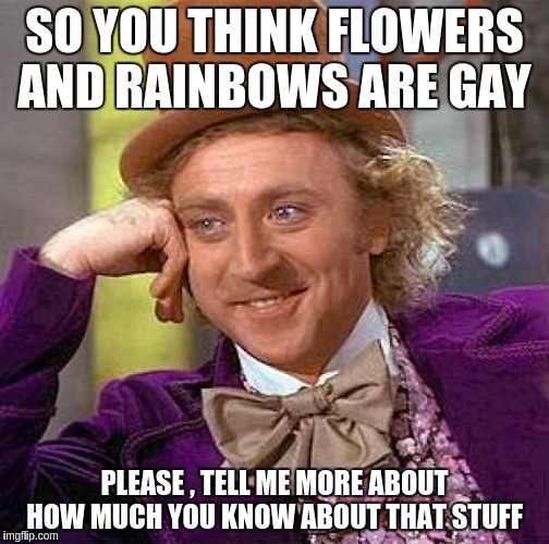Creepy Condescending Wonka Meme | SO YOU THINK FLOWERS AND RAINBOWS ARE GAY; PLEASE , TELL ME MORE ABOUT HOW MUCH YOU KNOW ABOUT THAT STUFF | image tagged in memes,creepy condescending wonka | made w/ Imgflip meme maker