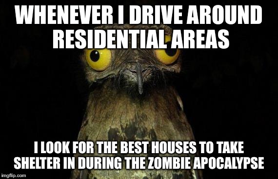 Weird Stuff I Do Potoo | WHENEVER I DRIVE AROUND RESIDENTIAL AREAS; I LOOK FOR THE BEST HOUSES TO TAKE SHELTER IN DURING THE ZOMBIE APOCALYPSE | image tagged in memes,weird stuff i do potoo,AdviceAnimals | made w/ Imgflip meme maker