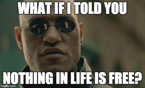 Matrix Morpheus Meme | WHAT IF I TOLD YOU NOTHING IN LIFE IS FREE? | image tagged in memes,matrix morpheus | made w/ Imgflip meme maker