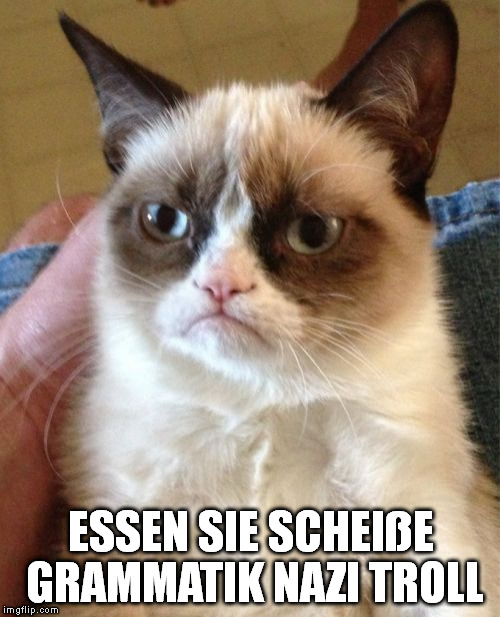 ESSEN SIE SCHEIßE GRAMMATIK NAZI TROLL | image tagged in memes,grumpy cat | made w/ Imgflip meme maker