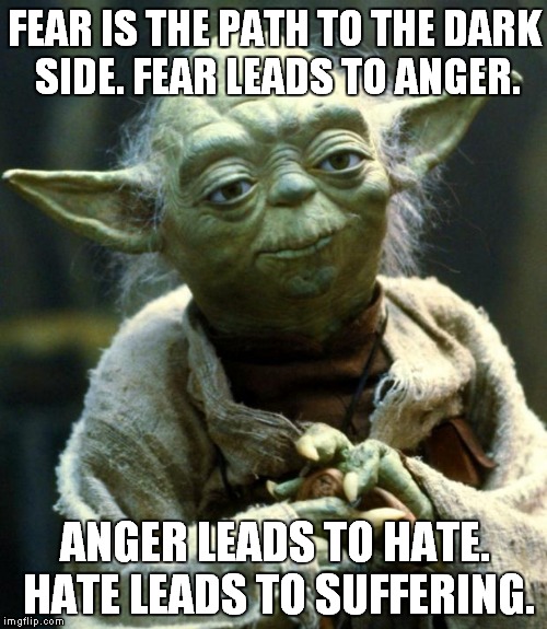 Star Wars Yoda Meme | FEAR IS THE PATH TO THE DARK SIDE. FEAR LEADS TO ANGER. ANGER LEADS TO HATE. HATE LEADS TO SUFFERING. | image tagged in memes,star wars yoda | made w/ Imgflip meme maker