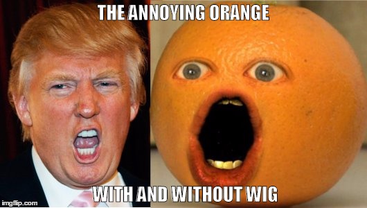 THE ANNOYING ORANGE; WITH AND WITHOUT WIG | image tagged in donald trump,annoying,orange | made w/ Imgflip meme maker