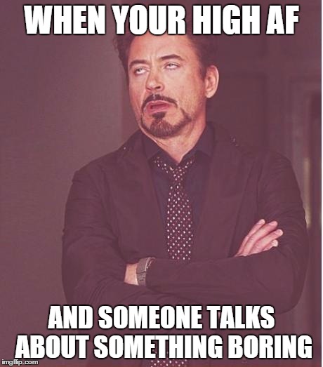 Face You Make Robert Downey Jr Meme | WHEN YOUR HIGH AF; AND SOMEONE TALKS ABOUT SOMETHING BORING | image tagged in memes,face you make robert downey jr | made w/ Imgflip meme maker