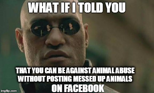 Matrix Morpheus | WHAT IF I TOLD YOU; THAT YOU CAN BE AGAINST ANIMAL ABUSE WITHOUT POSTING MESSED UP ANIMALS; ON FACEBOOK | image tagged in memes,matrix morpheus | made w/ Imgflip meme maker