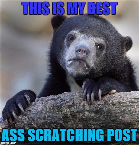 Confession Bear Meme | THIS IS MY BEST; ASS SCRATCHING POST | image tagged in memes,confession bear | made w/ Imgflip meme maker