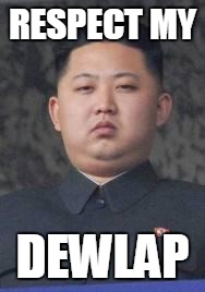 Kim Jong Un | RESPECT MY; DEWLAP | image tagged in kim jong un | made w/ Imgflip meme maker