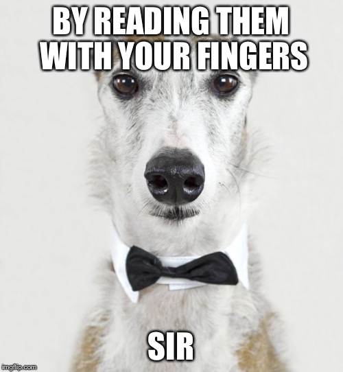 GREYHOUND | BY READING THEM WITH YOUR FINGERS SIR | image tagged in greyhound | made w/ Imgflip meme maker