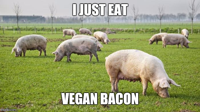 I JUST EAT VEGAN BACON | made w/ Imgflip meme maker
