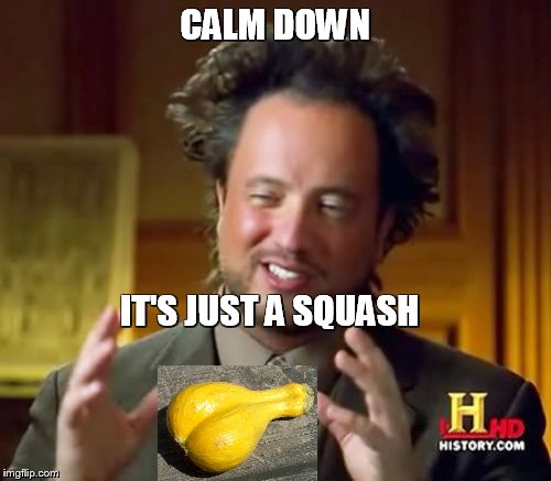 Ancient Aliens | CALM DOWN; IT'S JUST A SQUASH | image tagged in memes,ancient aliens,vegetables | made w/ Imgflip meme maker